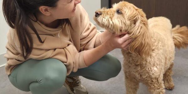 Therapy Dog Urgent Care | Vitality Urgent Care - Urgent Care